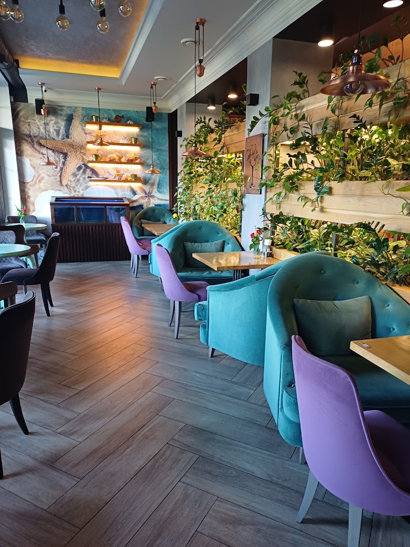 Cafe de Vino